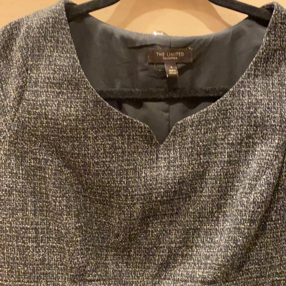 The Limited Collection dress